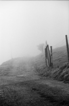 Autumn Morning Fog. Camera: Nikon FE2. Film: Rollei Infrared 400. Developer: Rodinal. Location: Breitenau am Hochlantsch/Austria.