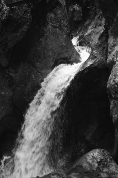 Dense Woods, Wild Canyons | Bärenschützklamm. Camera: Nikon F100, Film: Ilford FP4+. Location: Bärenschützklamm, Styria/Austria.