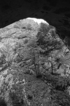 Dense Woods, Wild Canyons | Bärenschützklamm. Camera: Nikon F100, Film: Ilford FP4+. Location: Bärenschützklamm, Styria/Austria.