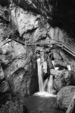 Dense Woods, Wild Canyons | Bärenschützklamm. Camera: Nikon F100, Film: Ilford FP4+. Location: Bärenschützklamm, Styria/Austria.