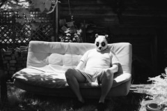 Domestic Panda: Infrared.