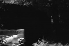 Domestic Panda: Infrared.