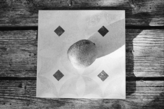 Fruit Tiles: Kiwi. Camera: Nikon F100. Film: Kodak Tri-X 400 @ 400, Rodinal.