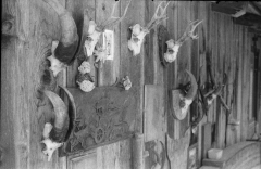 In Hell: The Black Lodge. Camera: Zorki 1. Film: Kodak Tri-X. Twin Peaks Mystery Topic.