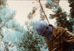 Aminadav Forest