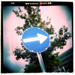 looking at things | abandoned. Camera: Holga 120. Film: Kodak 160VC.