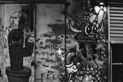 Street Art Tel Aviv, Nikon FE, Kodak Tri-X 400 @ 3200, Rodinal
