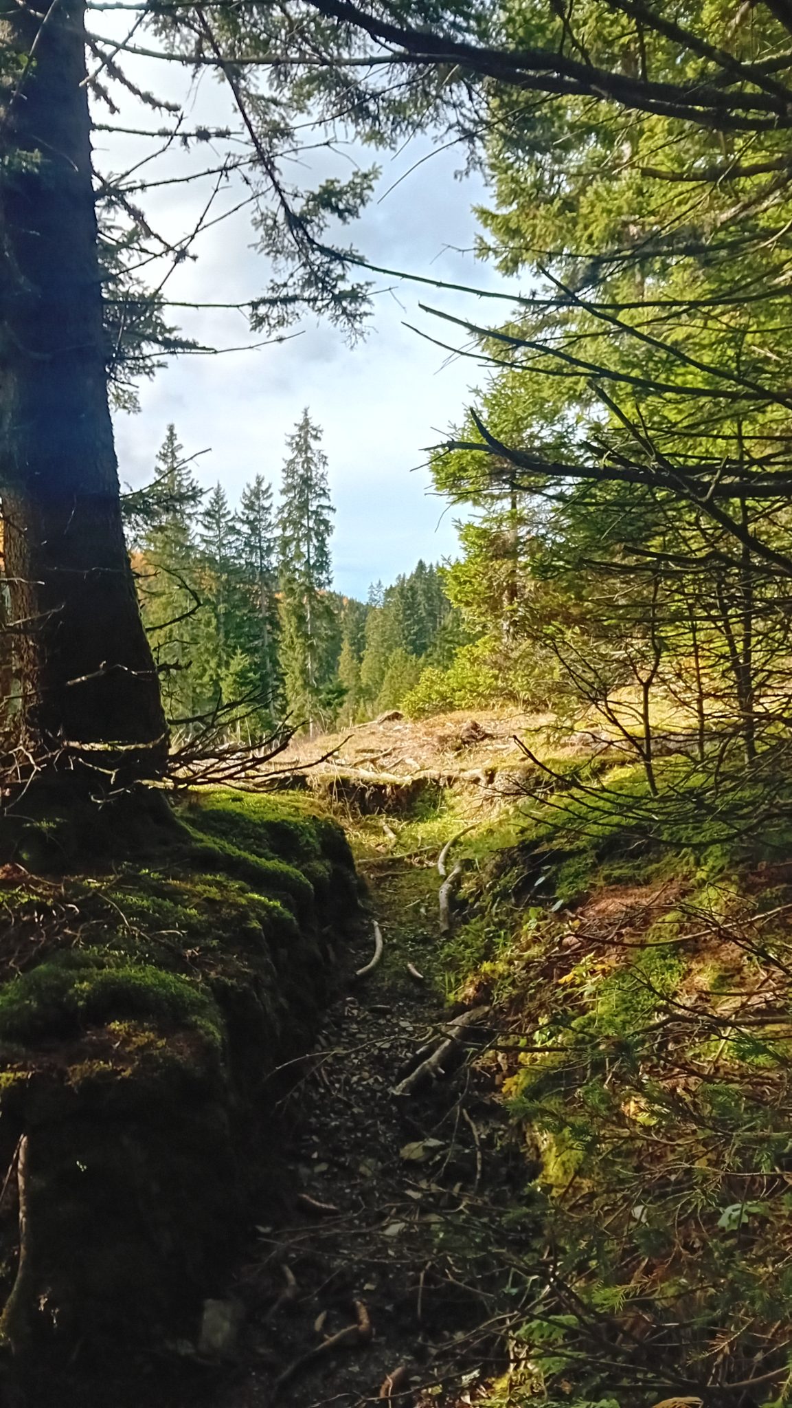 Das steirische Almenland im Südosten Österreichs